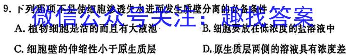 山西省2025届九年级阶段评估(一)1 1L R生物学试题答案