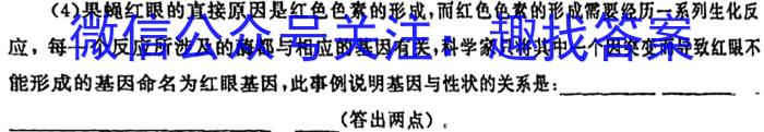 2024年河南省新高考信息卷(一)生物学试题答案