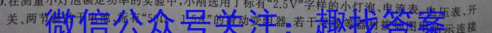 安徽省2024年九年级万友名校大联考试卷一物理`