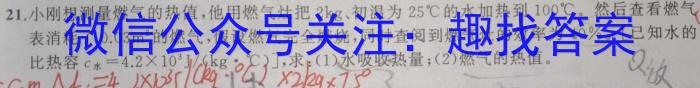 江西省2024年九年级中考总复习模拟卷（三）物理`