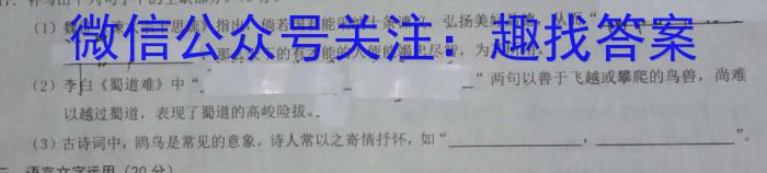 山西省朔州市某校23-24第一学期三阶段检测九年级试题（卷）语文