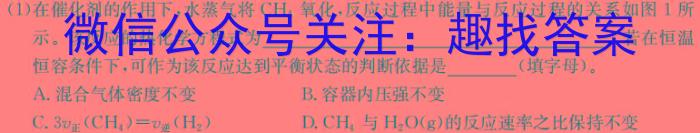 3东北师范大学附属中学2023-2024学年高一年级寒假作业验收考试化学试题