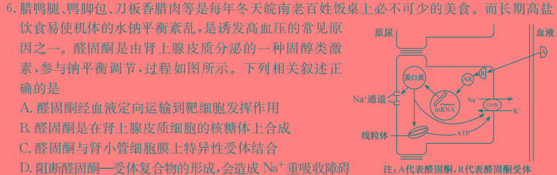 ​[河北中考]2024年河北省初中毕业生升学文化课考试文科综合试题生物学部分