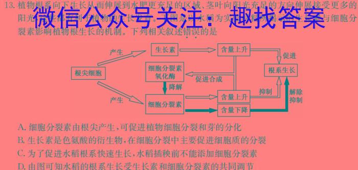 皖智教育 安徽第一卷·2024年安徽中考信息交流试卷(六)6生物学试题答案