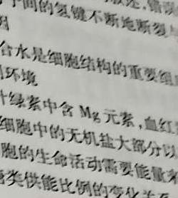 湘豫名校联考 2024年2月高三第一次模拟考试生物