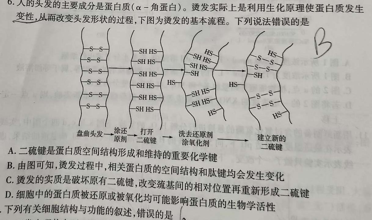 齐鲁名校大联考 2024届山东省高三第三次学业质量联合检测生物学部分