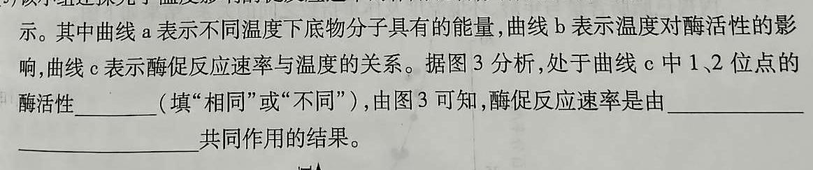 江西省南昌市西湖区2024-2025学年第一学期初一年级阶段分班卷生物