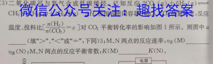 2024届商洛市高三第五次模拟检测化学