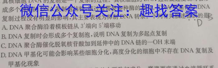 安徽省2025届同步达标自主练习·八年级第六次（期中）生物学试题答案