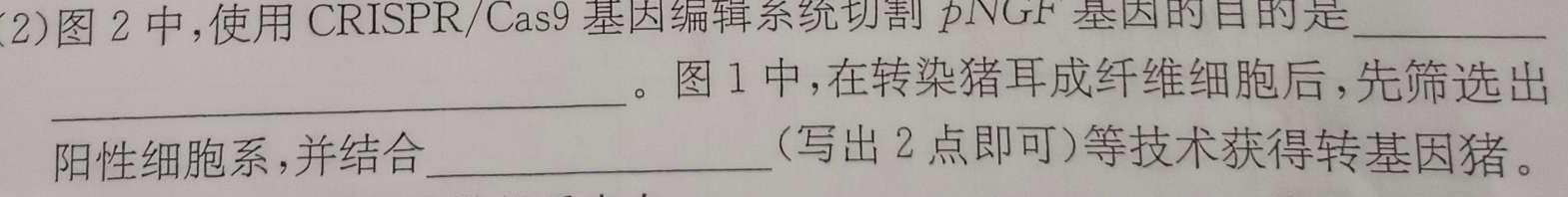 老教材老高考五省联考·2023-2024学年高三年级(三联)生物学试题答案