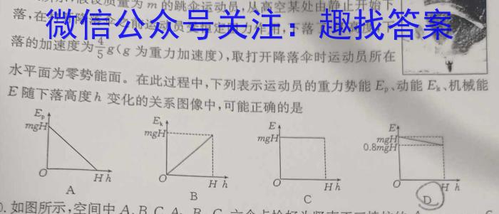 2024年河北省初中毕业生升学文化课考试麒麟卷（一）物理试卷答案