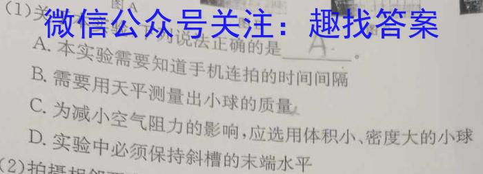 2024年广东省九年级学业水平模拟检测题(24-CZ199c)物理`