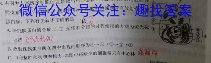 河南省周口市商水县2023-2024学年度第二学期八年级期中学情检测生物学试题答案