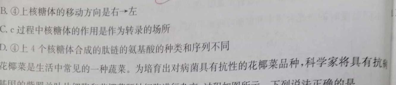 湖北省2024年高一9月月考生物