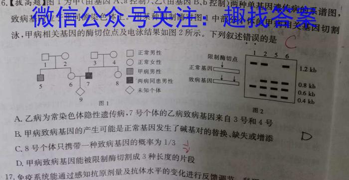 河南省2023-2024学年九年级下期学情调研3生物学试题答案