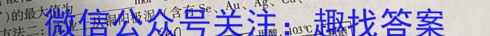 2024年普通高等学校招生全国统一考试冲刺压轴卷(五)化学