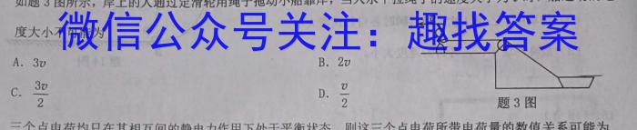 安徽省2024年中考密卷·先享模拟卷（一）物理`