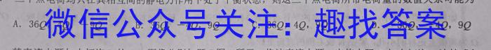 江西省新余市某校2023-2024初三年级下学期开学考试物理`