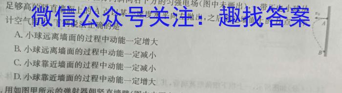 2024届四川省南充市高考适应性考试(三诊)物理`