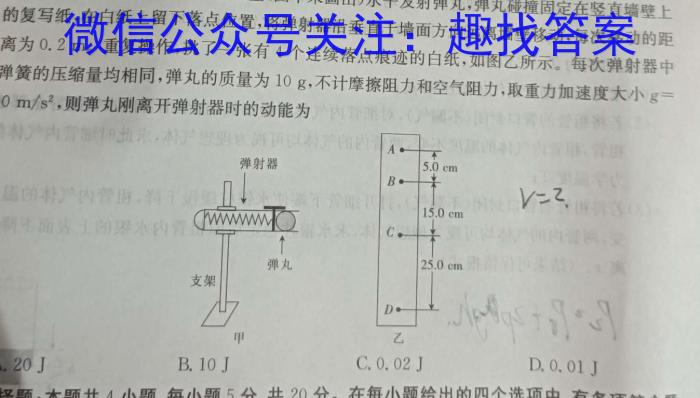 2024긧˳ͨӦ߿ģ⿼xԾ