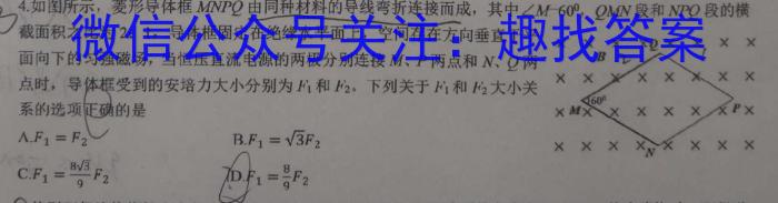 河北省2023-2024学年七年级第二学期第三次学情评估（标题加粗）物理试卷答案