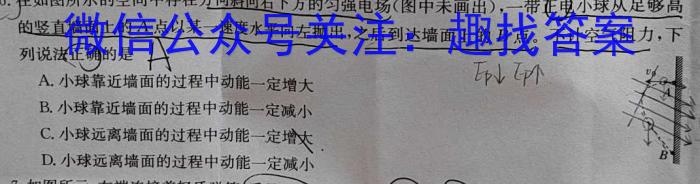 新向标教育2024年河南省中考仿真模拟考试(二)物理试题答案