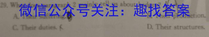 2024年陕西省初中学业水平考试信息卷(B)试卷类型:A英语试题英语试卷答案