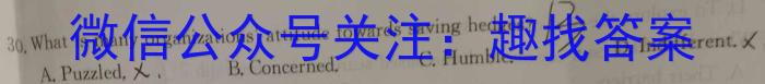 2023年陕西省九年级模拟检测卷(方框套空心菱形)英语试卷答案