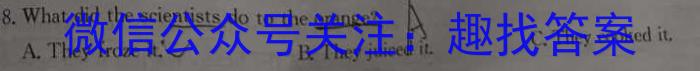 河南省2024年中考导航冲刺押题卷(一)1英语试卷答案