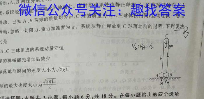 安徽省安师联盟2024年中考权威预测模拟试卷（五）物理`