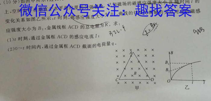 2024届黑白卷 白卷q物理