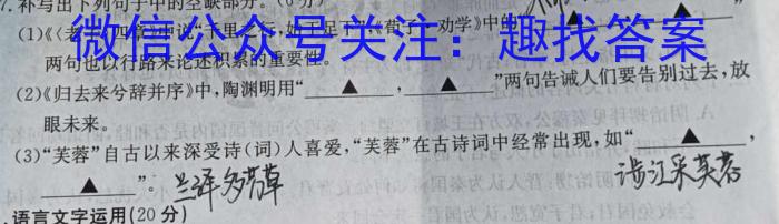 安徽省北城中学2023-2024学年八年级下学期阶段性检测语文