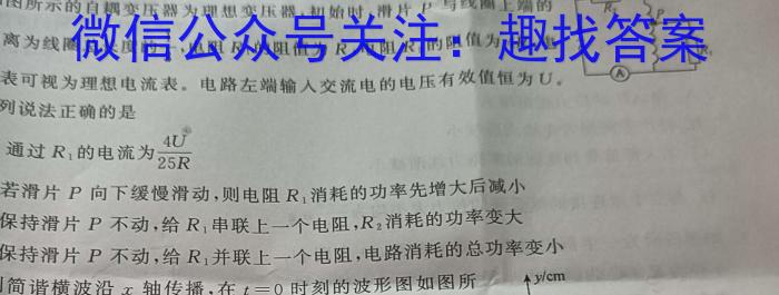 金科大联考·2024~2025高一11月期中质量检测(25136A)物理试题答案