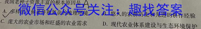 2025届“贵百河-武鸣高中”9月高三年级摸底考试地理试卷答案