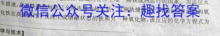 【精品】文博志鸿·2024年河北省初中毕业生升学文化课模拟考试（导向二）化学