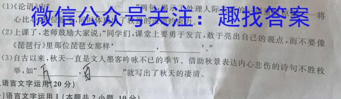 江西省2024年初中学业水平考试样卷试题卷（三）语文