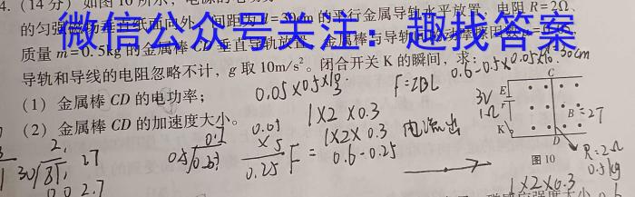 河北省2023-2024学年第二学期高二期末调研考试(乐符)物理试题答案