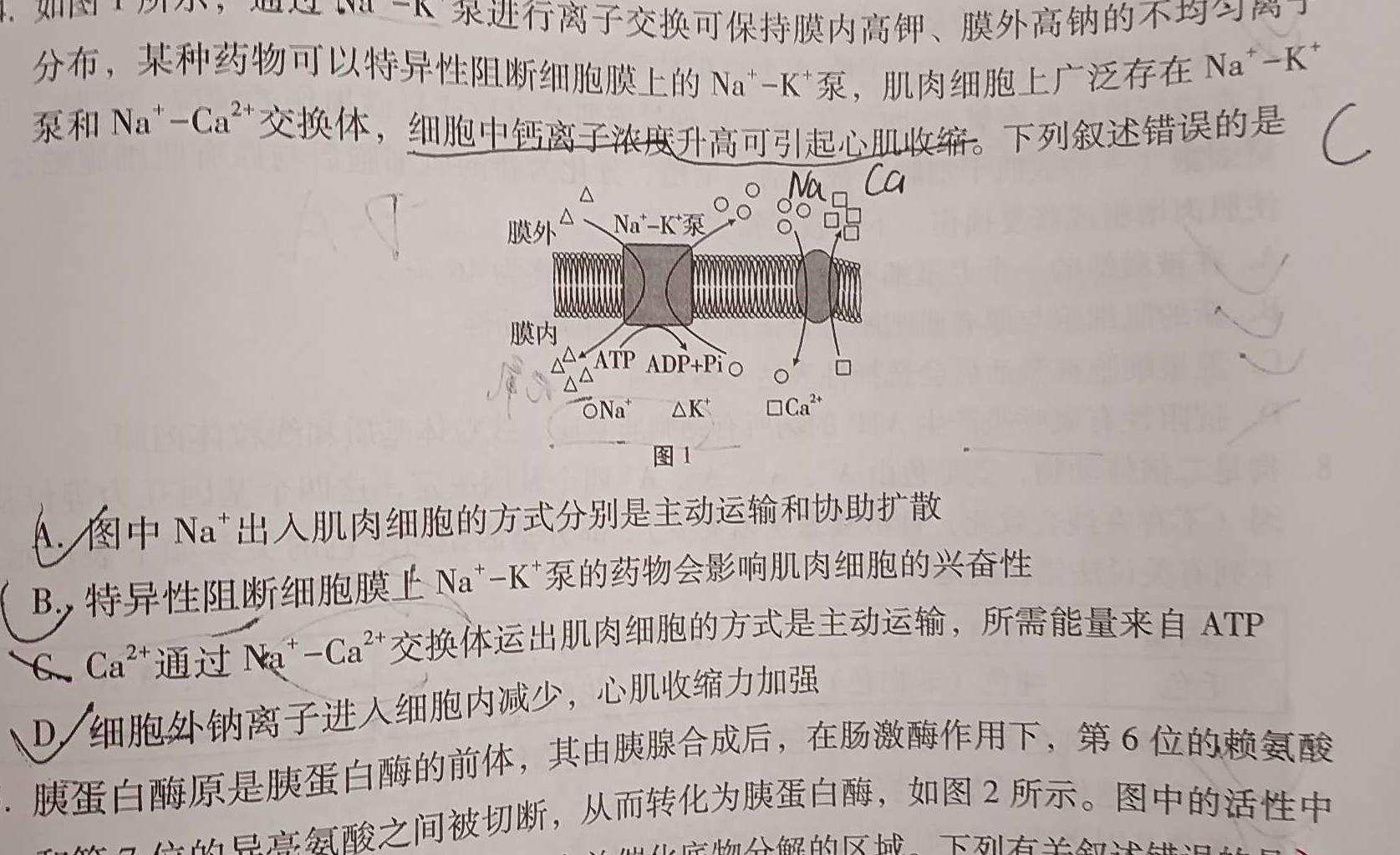 [淄博二模]2023-2024学年度部分学校高三阶段性诊断检测生物