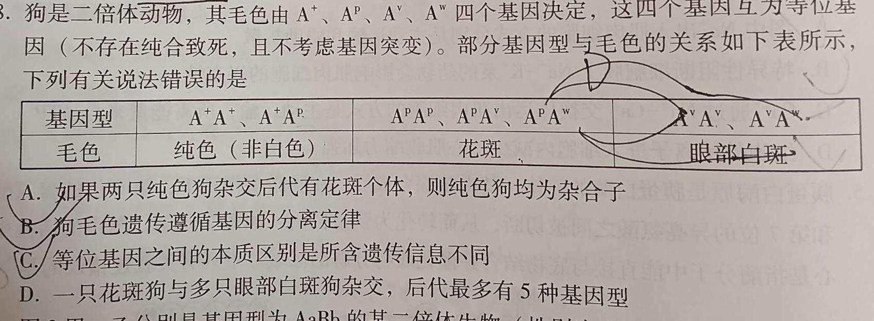 辽宁省2024年部分重点中学协作体高考模拟考试生物
