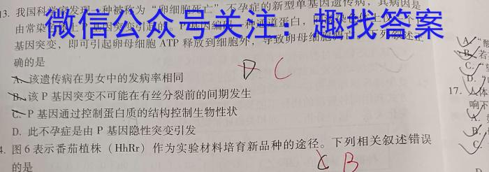 河南省2023~2024学年度八年级下学期期末综合评估 8L R-HEN生物学试题答案