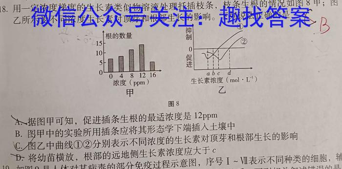 江苏省苏州市2023-2024学年高一期中调研试卷(2024.04)生物学试题答案