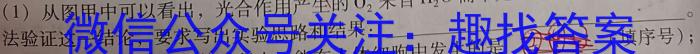 贵州省2023年初中学业水平考试统一命题学科模拟考试卷生物学试题答案