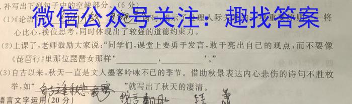 佩佩教育2024年普通高校招生统一考试金榜题名卷语文