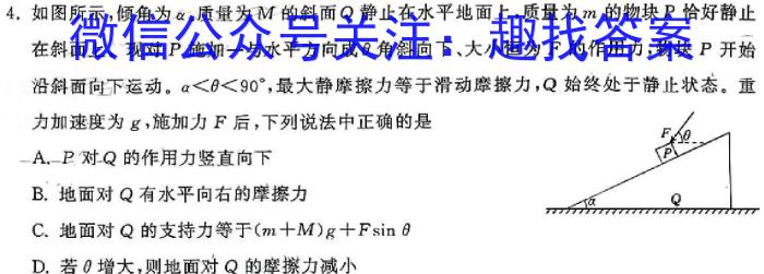 湖南省2024年名校初中模拟检测考试试卷（一）物理`