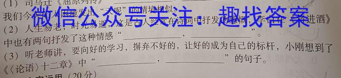 2024届黑龙江绥化市高三3月联考模拟检测卷语文