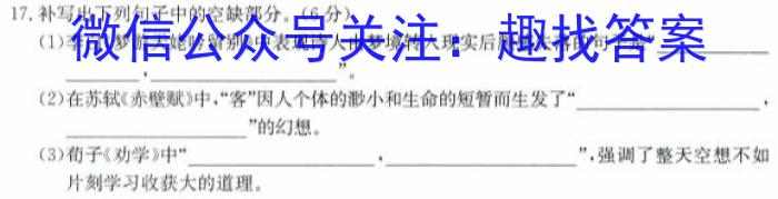 2023-2024学年河北省高一考试5月联考(24-527A)语文