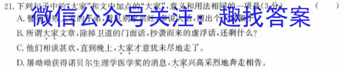 衡水金卷先享题月考卷 2023-2024学年度下学期高三一调考试语文