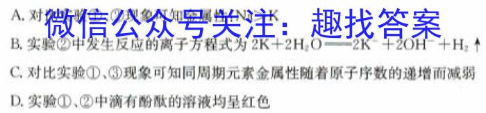 【精品】2024年河南省初中学业水平考试全真模拟试卷(三)3化学