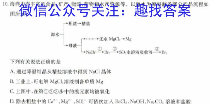 河南省周口市2023-2024学年第二学期八年级期中学情调研试卷化学
