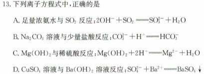 【热荐】2024届新高考金卷重庆市适应卷(六)化学
